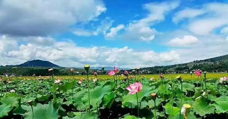 麗江研學(xué)旅行的定義及特點(diǎn)是什么？