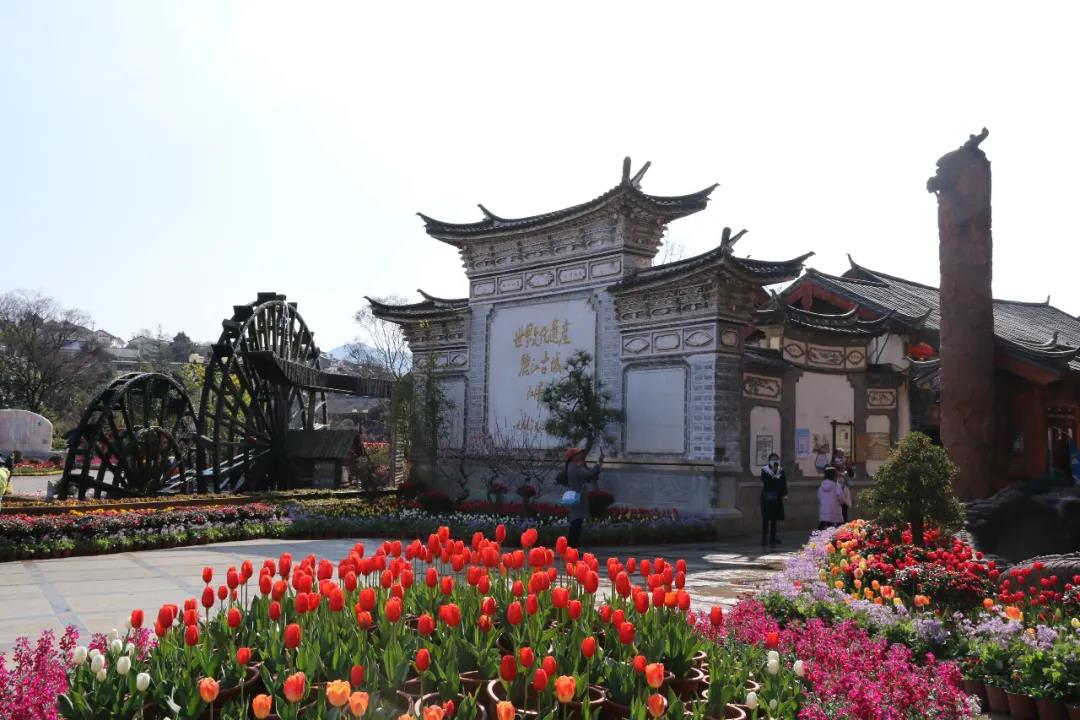 年味足、春意濃! 麗江古城春節(jié)假日旅游回暖